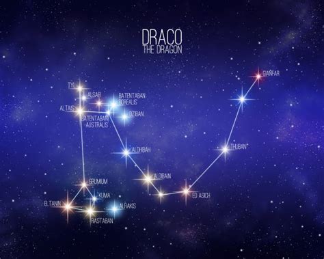 Constellation The Dragon Draco Stock Photos, Pictures & Royalty-Free ...