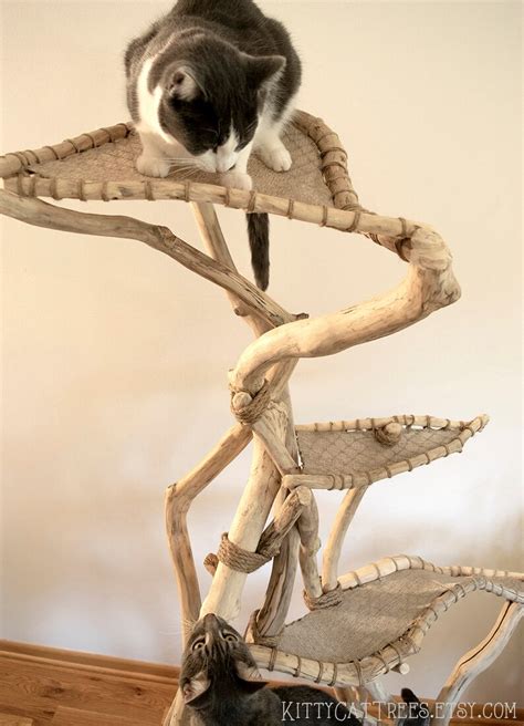 Natural Handmade Cat Tree Bone Wood Etsy