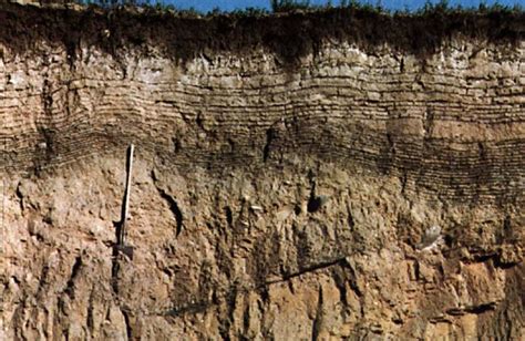 Lacustrine Soil