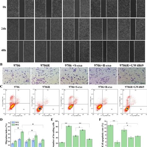 Schematic Of The Potential Role Of Exosomal Pd L In Paclitaxel