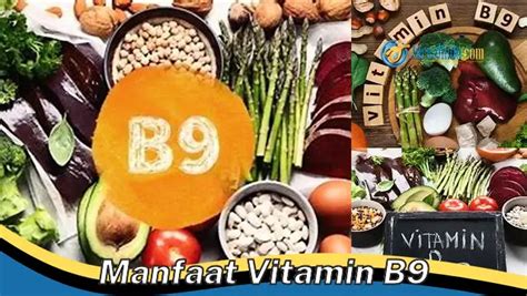 Temukan Manfaat Vitamin B9 Yang Jarang Diketahui