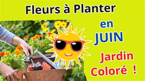 Quelles Fleurs Planter En Juin Pour Un Jardin Eclatant De Couleurs