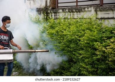 822 Ddt Stock Photos, Images & Photography | Shutterstock