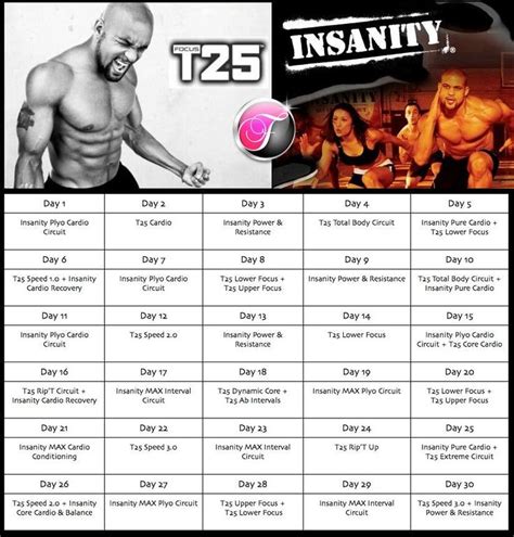 Shaun T Insanity Calendar Pdf Janel Othelia