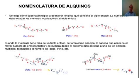 Alquinos Y Alqueninos Youtube