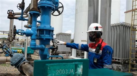 Pertamina Setor Pajak Rp Triliun Ke Kas Negara