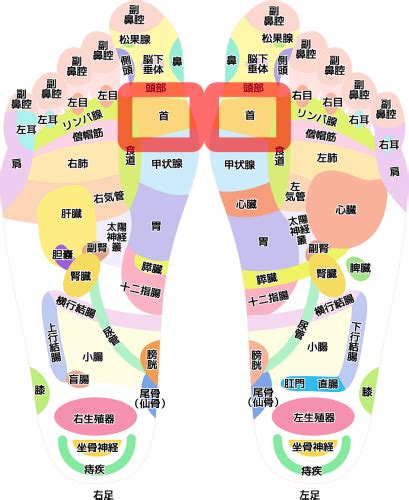 「ed・インポテンツ」足つぼ ぶっちゃけ鍼灸師の人に教えたくなるツボ
