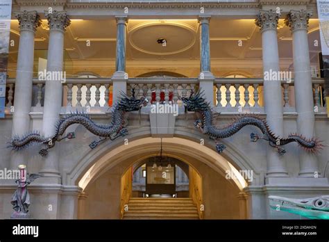 Interior View Dragon Bristol City Museum And Art Gallery Bristol