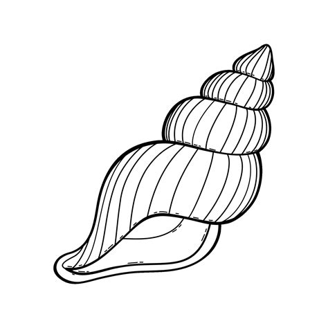 Vector Outline Of Underwater Seashell Undersea Shellfish Hand Drawn