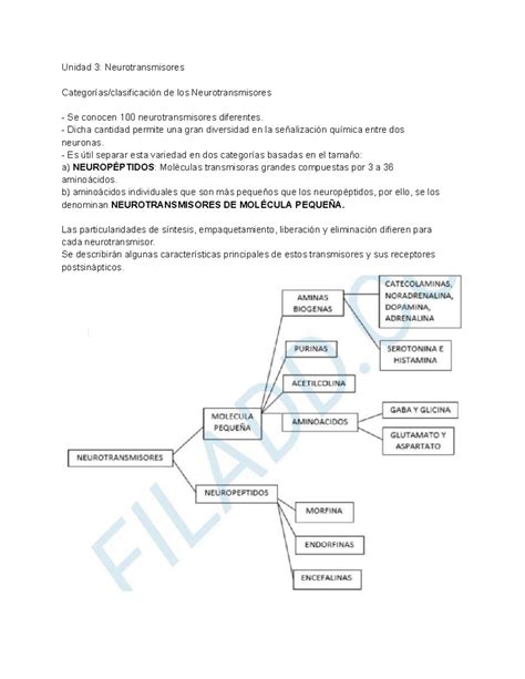 Unidad Resumen Neurofisiolog A Y Psicofisiolog A Unidad