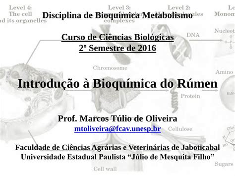 Pdf Introdu O Bioqu Mica Do R Men Fcav Unesp Br Se Os