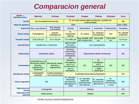 Cuadro Comparativos De Los Diferentes Grupos