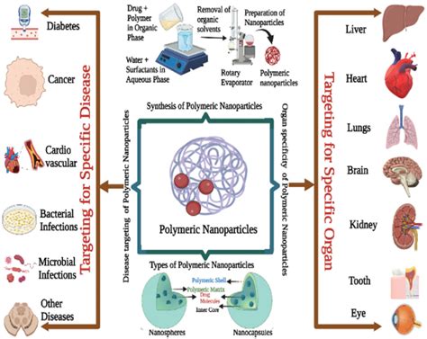 Synthesis and targetability of polymeric nanoparticles: The Figure 1... | Download Scientific ...