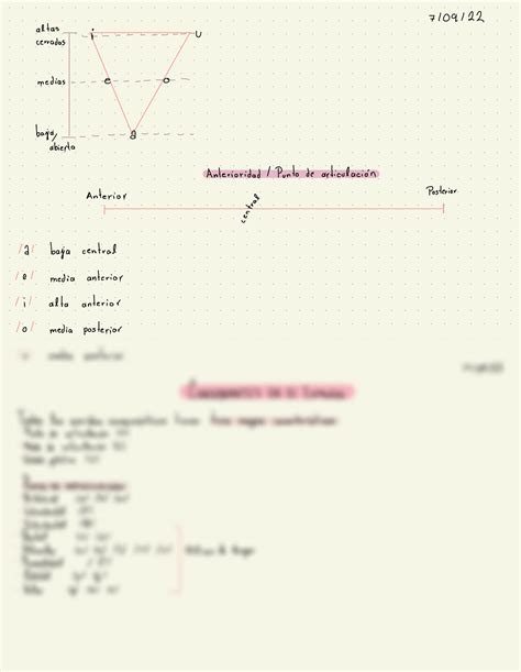 Solution Consonantes Y Vocales En El Espa Ol Studypool