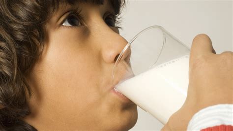 Why Does Dairy Make Antibiotics Less Effective Live Science