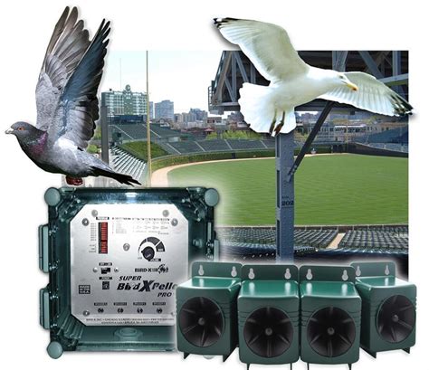 Super Birdxpeller Pro Electronic Bird Repeller What It Does The