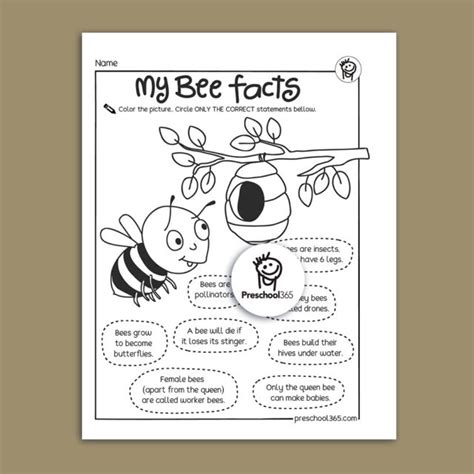 I See A Bug Science Activity Packet 14pages Great Packet For Insects