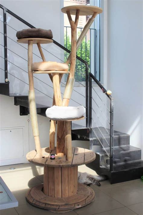 Arbre à chat design bois Massif Flotté lamellé naturel MDF