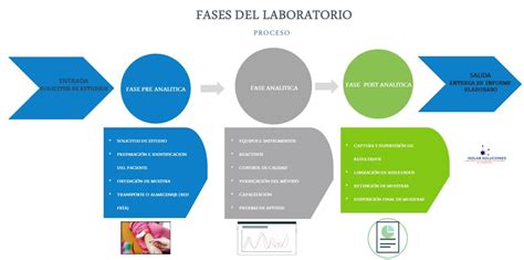 Conoces Las Fases En El Proceso De Tu Laboratorio