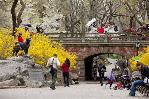 Central Park is one of the very best things to do in New York