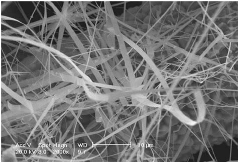 SEM Image Of The CdS Nanobelts Deposited On The Stainless Steel Network