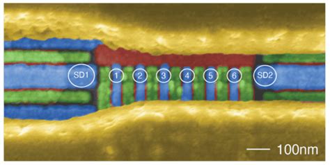 Six Qubit Silicon Quantum Processor Sets A Record Physics World