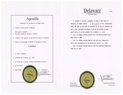 Delaware Company Documents