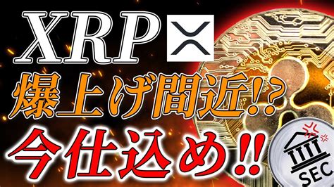 【仮想通貨】今最も注目されている爆上げ予備軍はあのメジャー仮想通貨銘柄2023年はxrpの年になるかもしれない【xrp・リップル・裁判