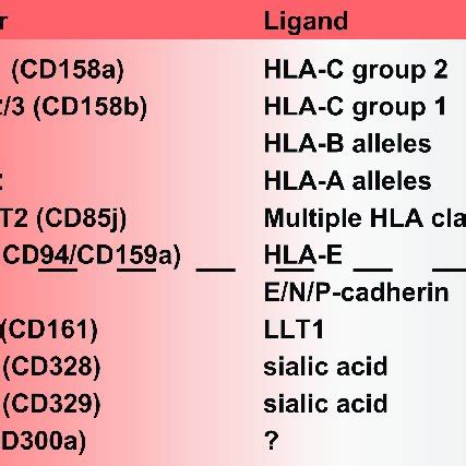 Activating receptors expressed on human peripheral blood NK cells ...