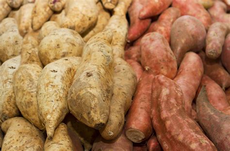 Cuál Es La Diferencia Entre Batata Y Boniato Descubre Las Características De Estos Dos Tubérculos