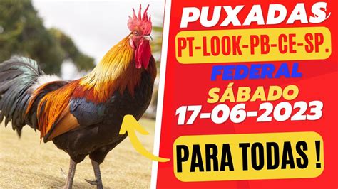 PUXADAS PARA PT FEDERAL LOOK LOTEP BAHIA SP PALPITES DIA 17 06 2023 DO