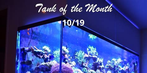 Tank Of The Month Totm October Ghl Advanced Technology