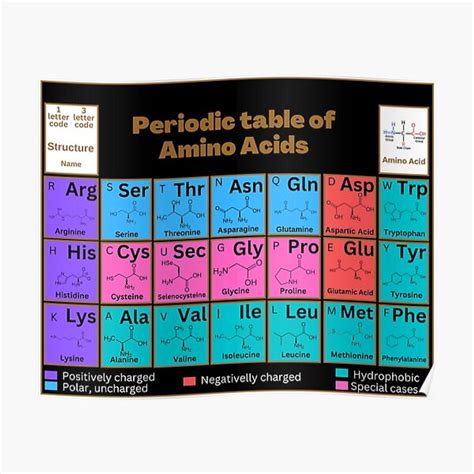 Periodic Table Of Amino Acids Premium Matte Vertical Poster Sold By