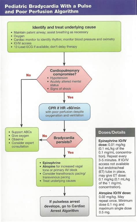 Pediatric Advanced Life Support Certification Important Tips To Pass