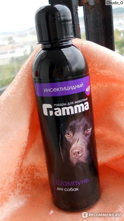 Шампунь Gamma Для собак инсектицидный - «Выход есть-есть Gamma! (+фото ...