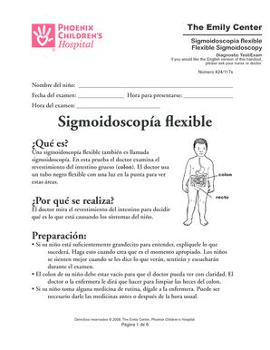 Fillable Online Flexible Sigmoidoscopy Sigmoidoscopa Flexible S