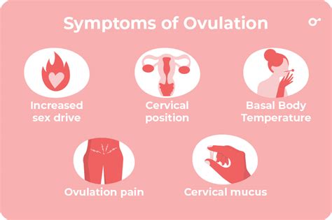 Ovulation Bleeding: Causes, Signs, and What You Can Do