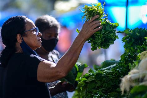 Feira da Agricultura Familiar movimenta o Jardim do Liceu neste sábado