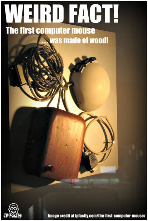 The first computer mouse was made of wood. | Always Learning!