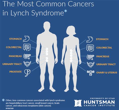 Information For Patients About Lynch Syndrome Basic Information And