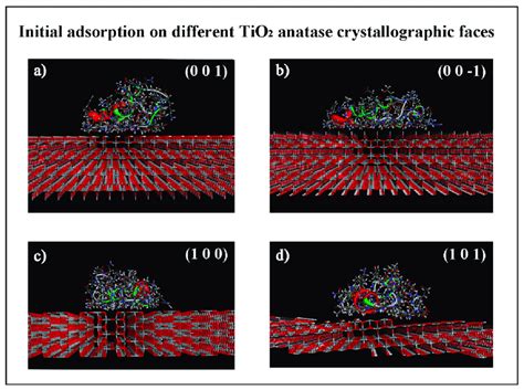 The Initial Most Stable Optimized Geometries After Molecular Mechanics