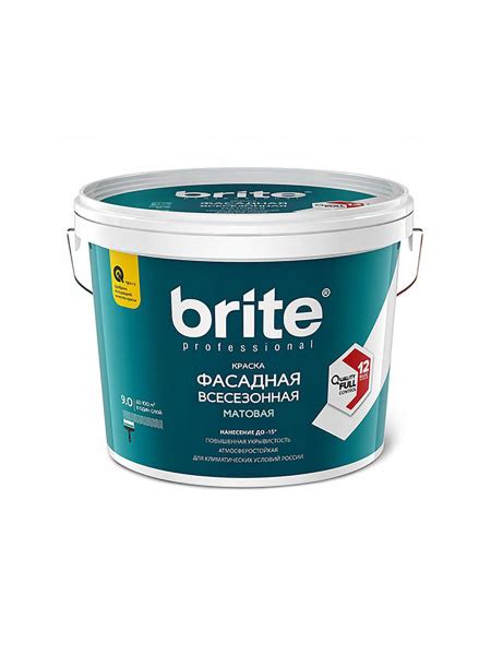 Краска Brite mxv-5497950, Матовое покрытие - купить в интернет-магазине ...