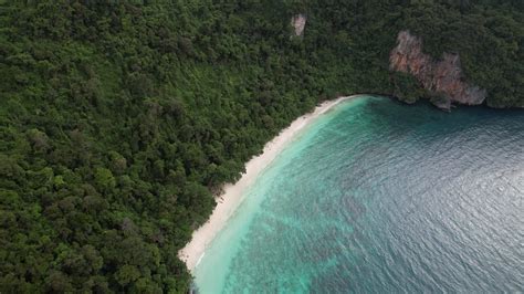 4k aéreo cenas do macaco de praia em koh phi phi vestir krabi