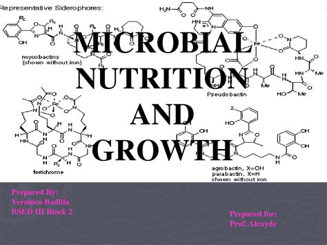 SOLUTION Microbial Nutrition And Growth Studypool