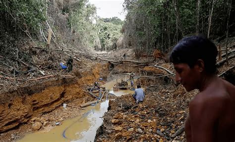 Fundaredes denuncia agresiva irracional y desordenada explotación