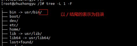 Tree 以树形结构显示目录下的内容tree 只显示文件夹 Csdn博客