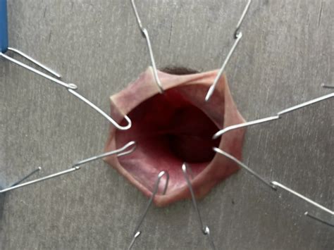 Cbt Nude Pics Xhamster