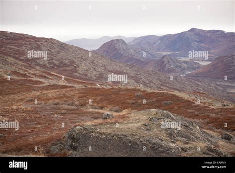 Arctic Landscape In Greenland With Mountains And Brown Vegetation In