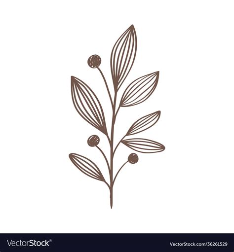 Branch With Leafs Plant And Seeds Hand Drawn Style