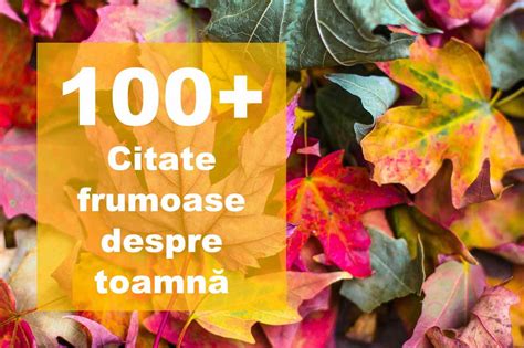 100 citate despre toamnă statusuri și proverbe tomnatice frumoase